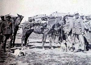 Maroc 1927- 028_2
